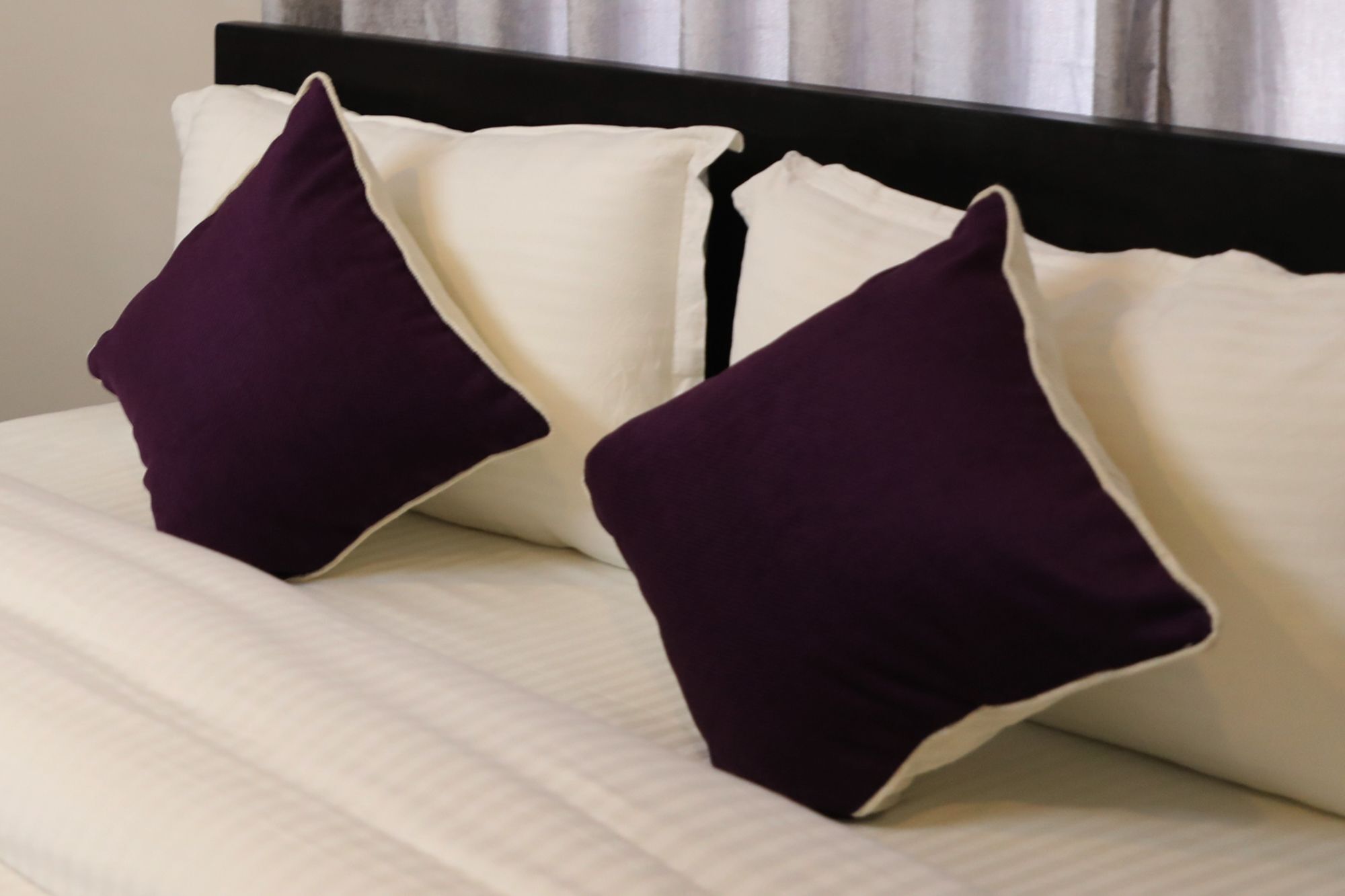 Ausfinn Hotel Metro Inn Kathmandu Ngoại thất bức ảnh